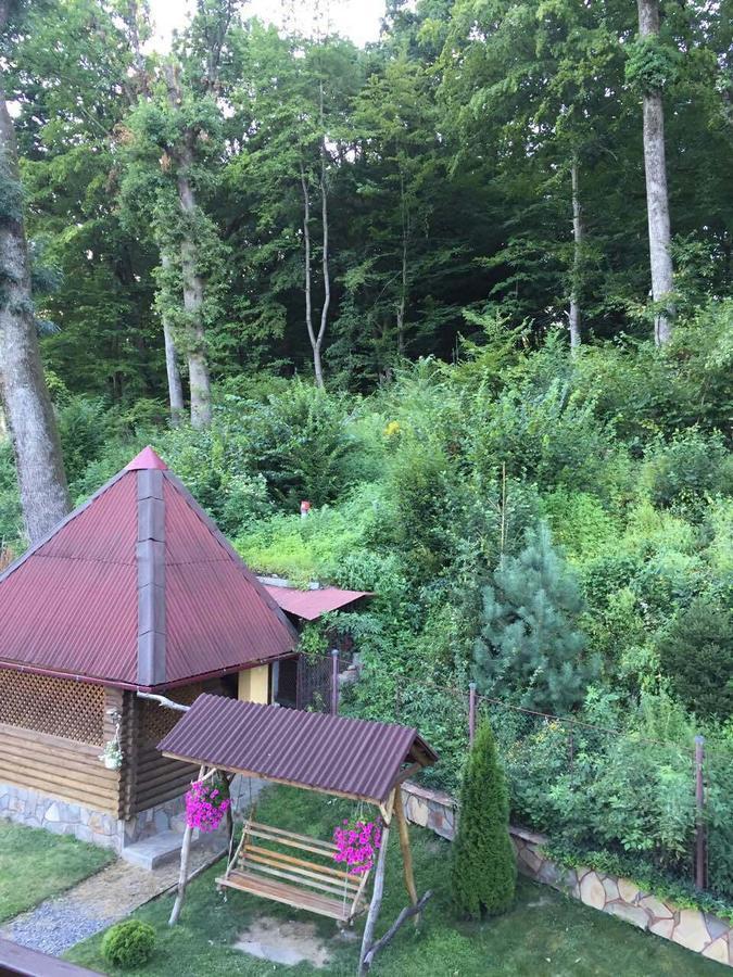 Vila U Lyudmily Karpaty Exteriér fotografie