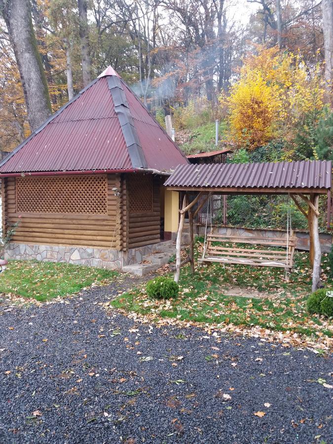 Vila U Lyudmily Karpaty Exteriér fotografie