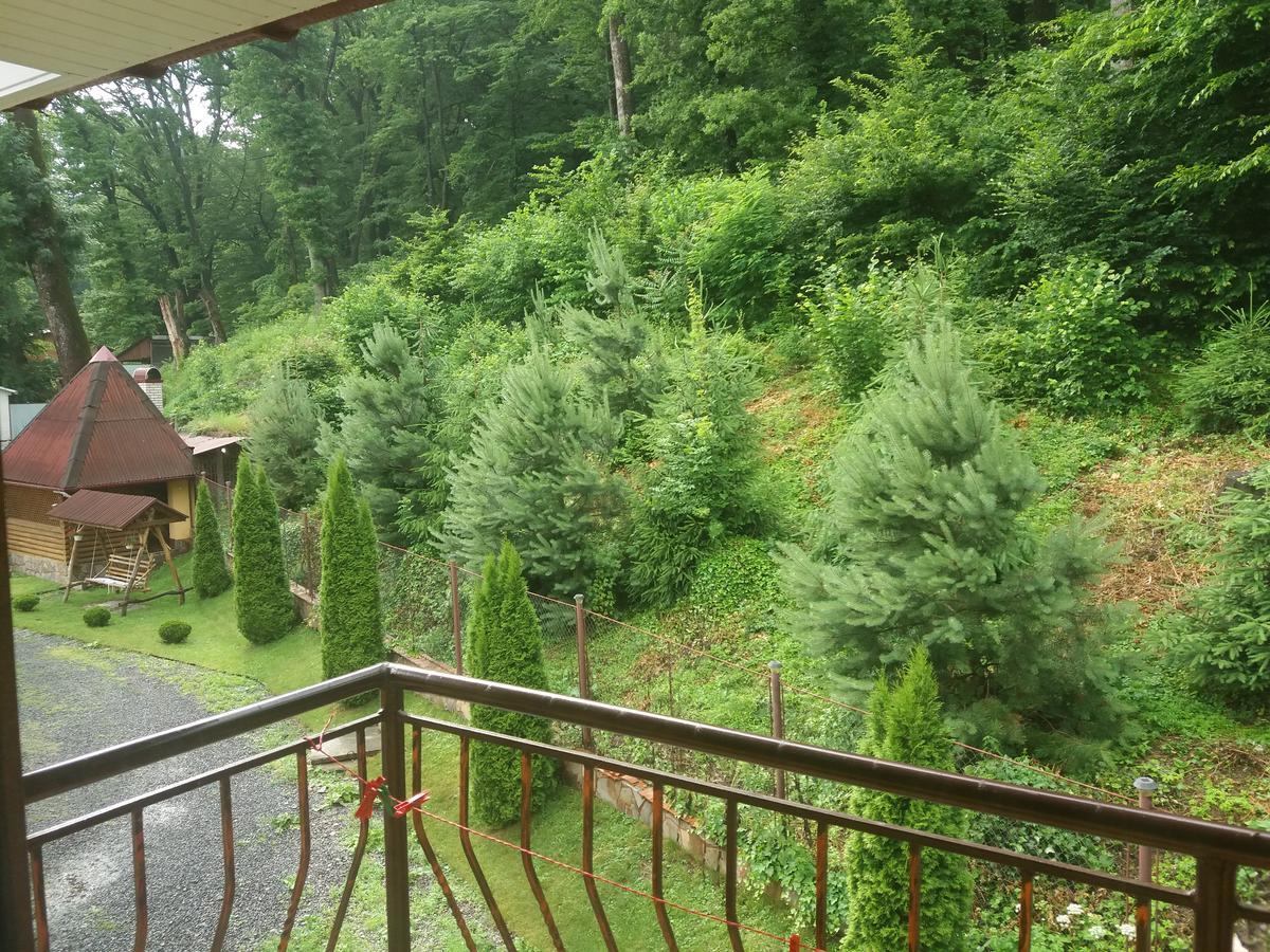 Vila U Lyudmily Karpaty Exteriér fotografie